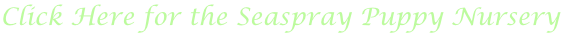 shapeimage_1_link_0