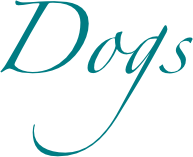 Dogs