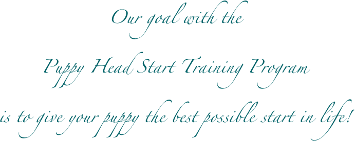 Our goal with the 
Puppy Head Start Training Program 
is to give your puppy the best possible start in life! 